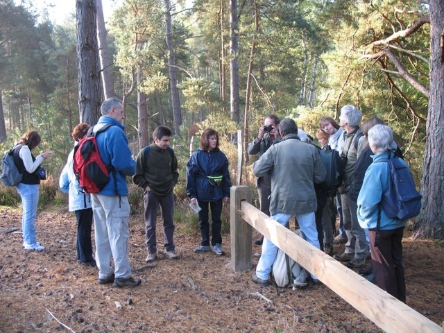 2007 10 Bois de Rochefort 04